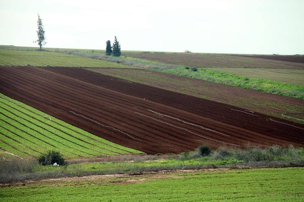 גדעונה בינהרים - בית הארחה גלבוע מראה חיצוני תמונה